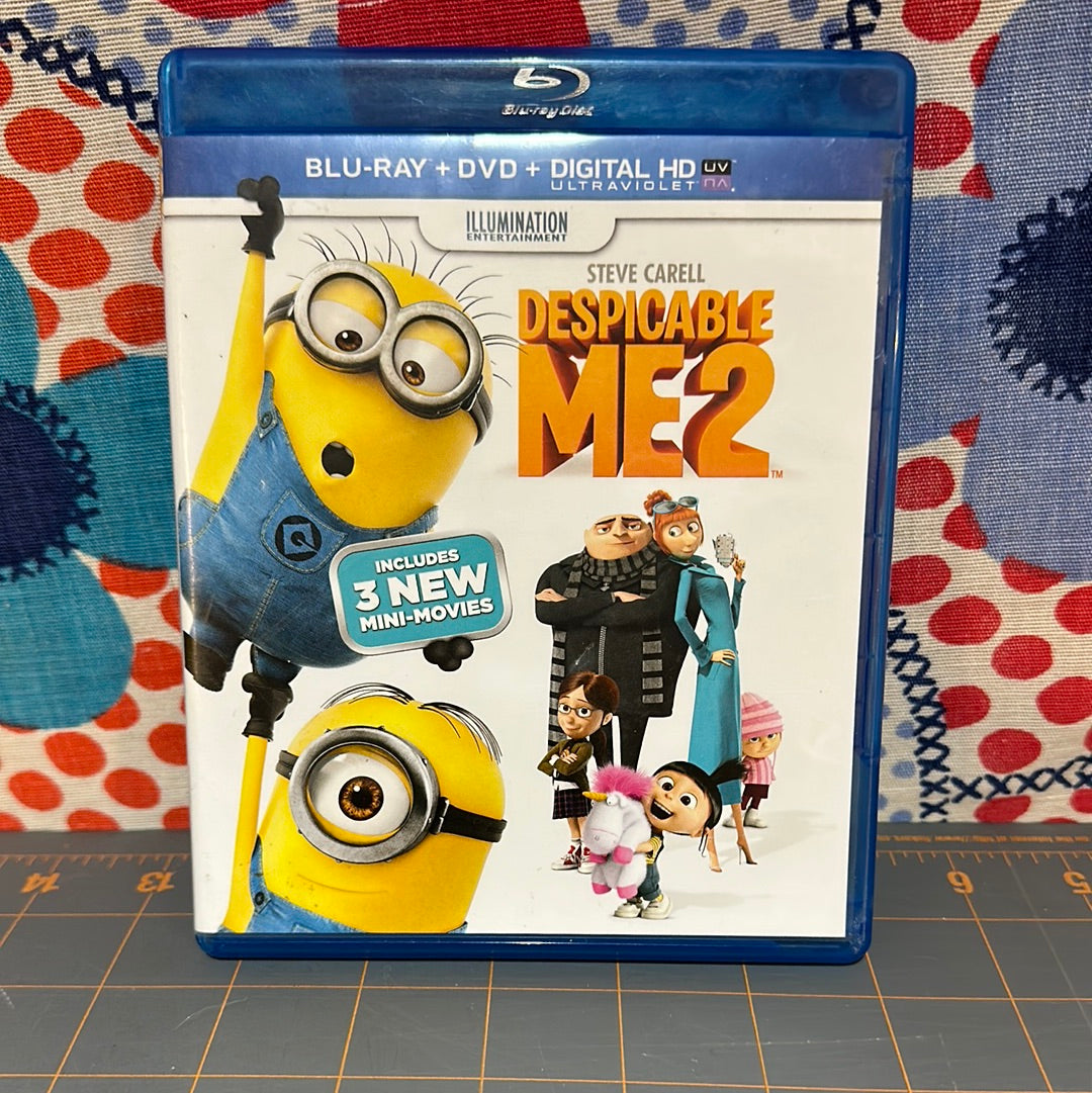 Despicable Me 2, Blu-Ray & DVD
