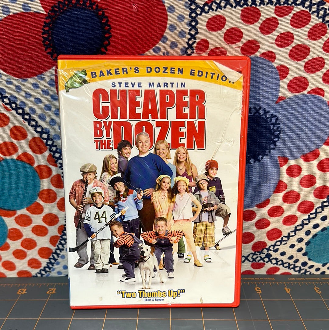 Cheaper By the Dozen, DVD